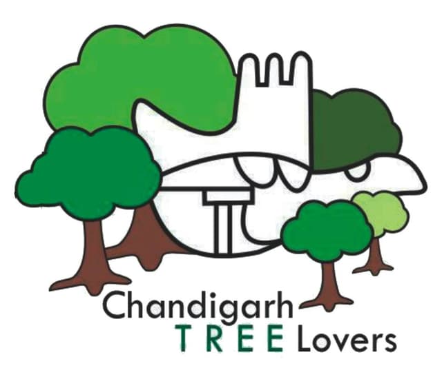 Chandigarh Tree Lovers — Open Hand Monument with Heritage Trees
